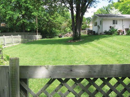Property photo 20 - 3 Bedroom Ranch on Basement - Foster Park Area